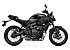 New 2025 Yamaha MT-07