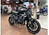 2025 Yamaha MT-09