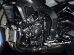 Thumbnail Photo 6 for New 2025 Yamaha MT-10
