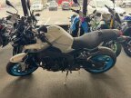 Thumbnail Photo 2 for New 2025 Yamaha MT-10