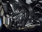 Thumbnail Photo 3 for New 2025 Yamaha MT-10