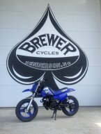 Thumbnail Photo 1 for New 2025 Yamaha PW50