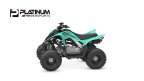 Thumbnail Photo 4 for New 2025 Yamaha Raptor 110