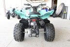 Thumbnail Photo 5 for New 2025 Yamaha Raptor 110