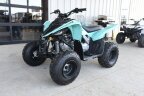 Thumbnail Photo 2 for New 2025 Yamaha Raptor 110