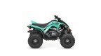 Thumbnail Photo 1 for New 2025 Yamaha Raptor 110