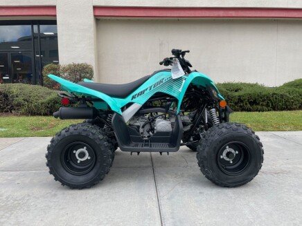 Photo 1 for New 2025 Yamaha Raptor 110