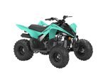 Thumbnail Photo 1 for New 2025 Yamaha Raptor 110