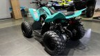 Thumbnail Photo 5 for New 2025 Yamaha Raptor 110