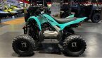Thumbnail Photo 4 for New 2025 Yamaha Raptor 110