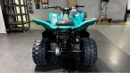 Thumbnail Photo 6 for New 2025 Yamaha Raptor 110