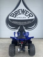 Thumbnail Photo 4 for New 2025 Yamaha Raptor 110