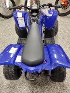 Thumbnail Photo 3 for New 2025 Yamaha Raptor 110