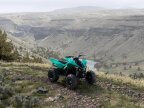 Thumbnail Photo 6 for New 2025 Yamaha Raptor 110