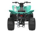 Thumbnail Photo 5 for New 2025 Yamaha Raptor 110
