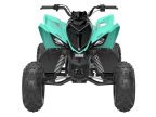 Thumbnail Photo 4 for New 2025 Yamaha Raptor 110