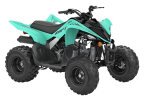 Thumbnail Photo 2 for New 2025 Yamaha Raptor 110