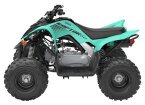 Thumbnail Photo 1 for New 2025 Yamaha Raptor 110