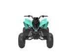 Thumbnail Photo 2 for New 2025 Yamaha Raptor 110