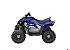 New 2025 Yamaha Raptor 110