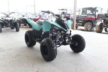 New 2025 Yamaha Raptor 110