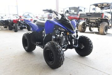 New 2025 Yamaha Raptor 110