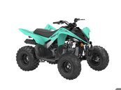 New 2025 Yamaha Raptor 110