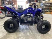 New 2025 Yamaha Raptor 110
