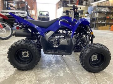 New 2025 Yamaha Raptor 110