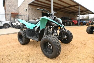 New 2025 Yamaha Raptor 110