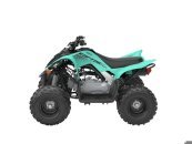 New 2025 Yamaha Raptor 110