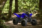 New 2025 Yamaha Raptor 110