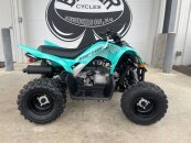 New 2025 Yamaha Raptor 110
