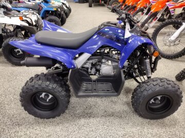 New 2025 Yamaha Raptor 110
