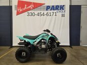 New 2025 Yamaha Raptor 110