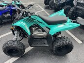 New 2025 Yamaha Raptor 110