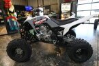 Thumbnail Photo 5 for New 2025 Yamaha Raptor 700