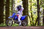 Thumbnail Photo 3 for New 2025 Yamaha TT-R110E
