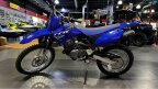 Thumbnail Photo 4 for New 2025 Yamaha TT-R125LE