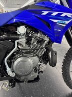 Thumbnail Photo 4 for New 2025 Yamaha TT-R125LE