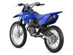 Thumbnail Photo 6 for New 2025 Yamaha TT-R125LE