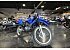 New 2025 Yamaha TT-R230