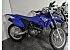 New 2025 Yamaha TT-R230
