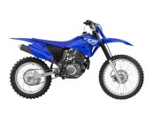 New 2025 Yamaha TT-R230