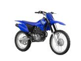 New 2025 Yamaha TT-R230
