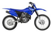 New 2025 Yamaha TT-R230