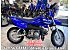 New 2025 Yamaha TT-R50E