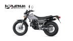 Thumbnail Photo 4 for New 2025 Yamaha TW200