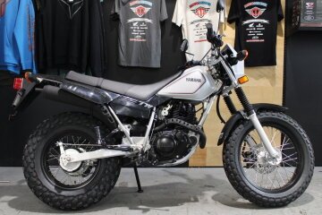 New 2025 Yamaha TW200