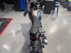 Thumbnail Photo 3 for New 2025 Yamaha Tenere